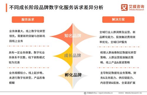 信息技術(shù)咨詢服務(wù)賦能品牌電商服務(wù)商 2021年行業(yè)洞察與發(fā)展趨勢