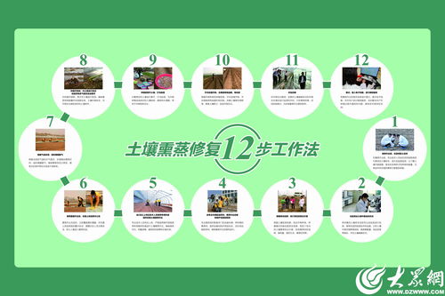 濰坊模式顯成效 全國首個(gè)生姜土壤熏蒸服務(wù)規(guī)范出爐，信息技術(shù)賦能農(nóng)業(yè)新篇章